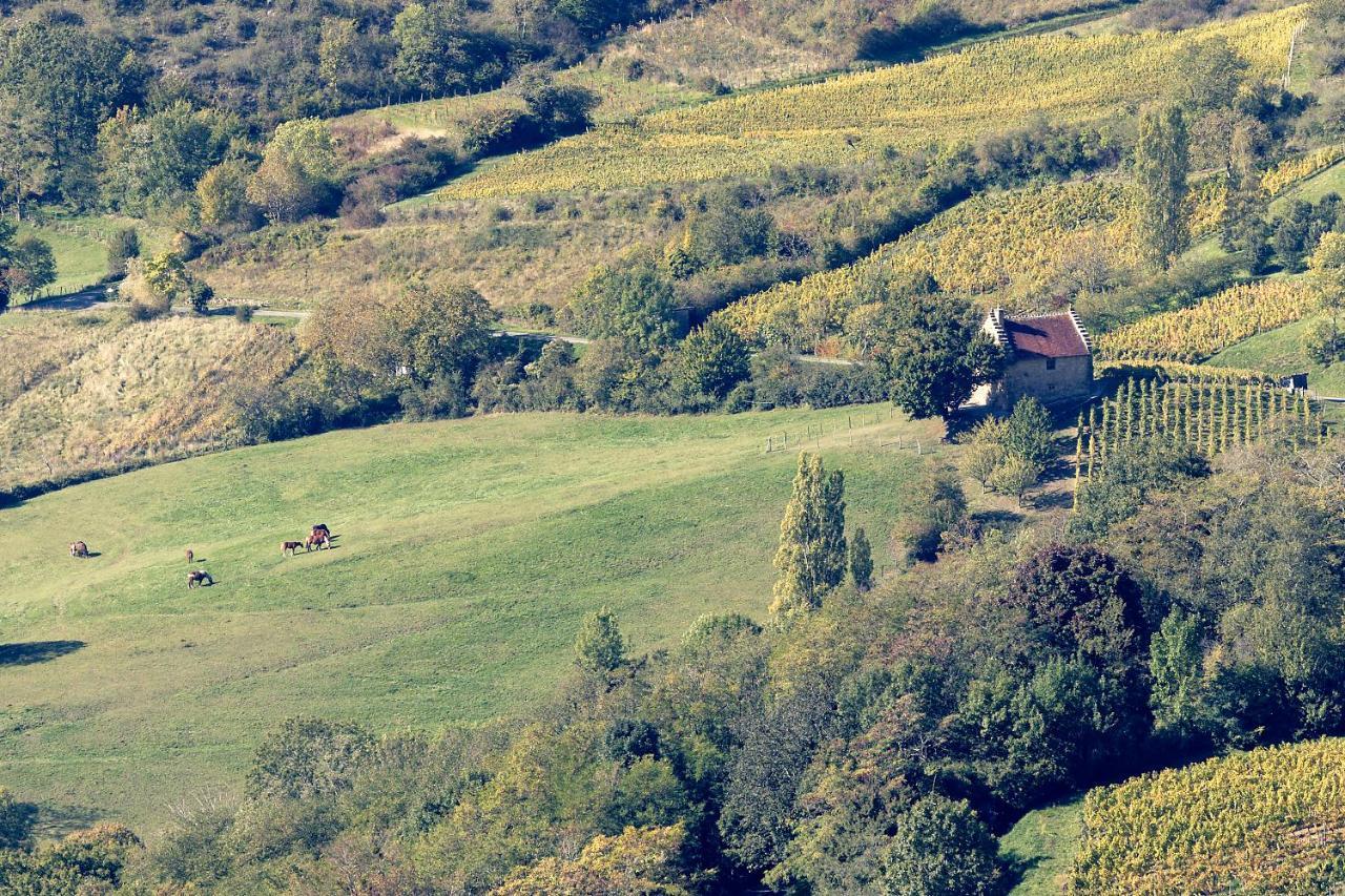 Les Billardes - Le Gite - Jura Gizia Екстериор снимка